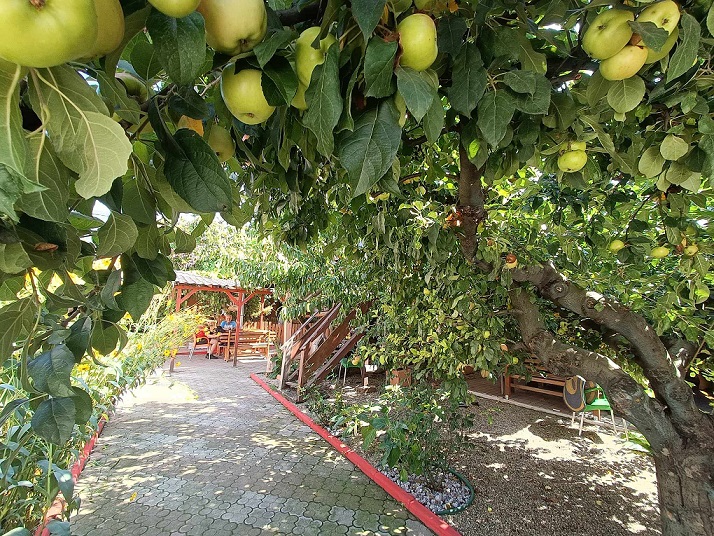 Cazare in Baile Felix - PENSIUNEA  FAVORIT - Lipova