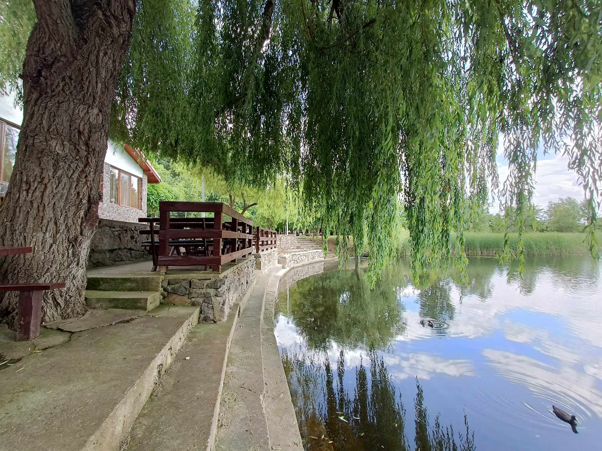 Cazare in Baile Felix - CABANA  MALTARET - Arad