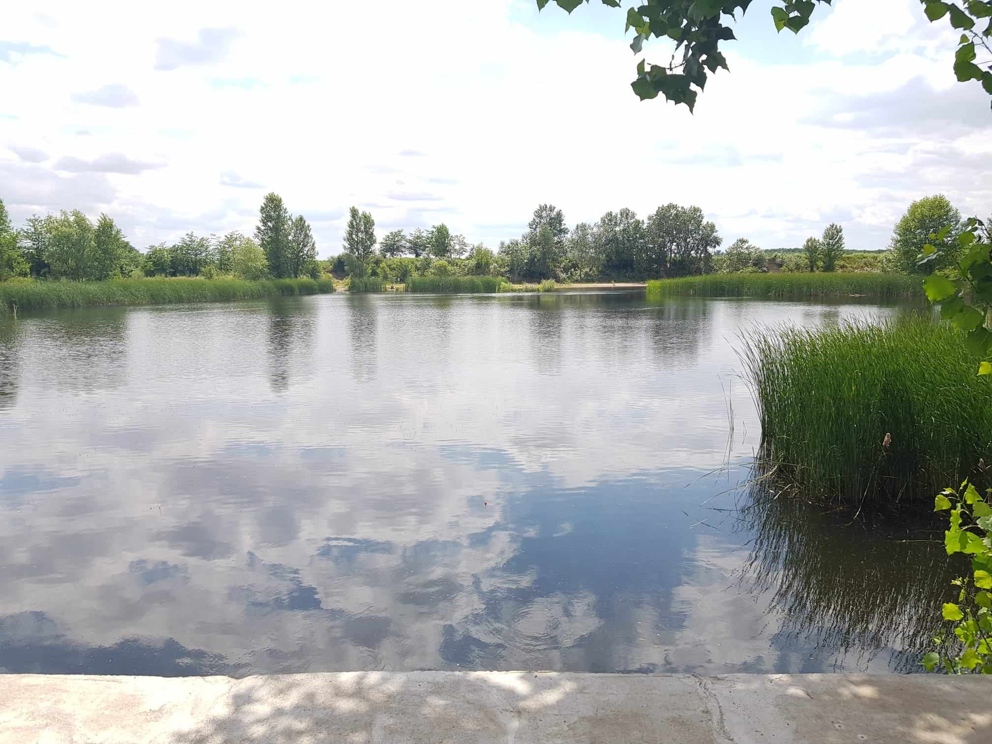 Cazare in Baile Felix - CABANA  MALTARET - Arad