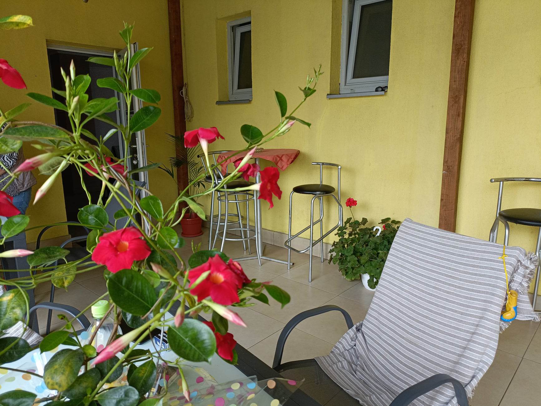 Cazare in Baile Felix - HOTEL RIGA - Arad