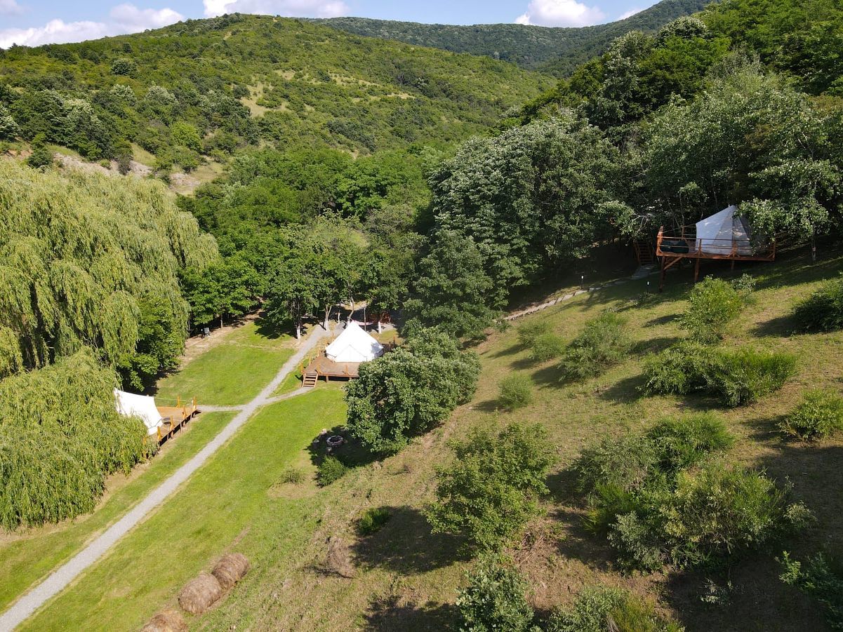 Cazare in Baile Felix - WINE ROAD GLAMPING CUVIN - Cuvin
