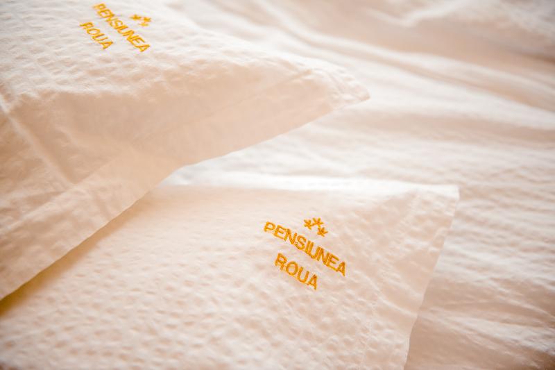 Cazare in Baile Felix - PENSIUNEA ROUA - Arad