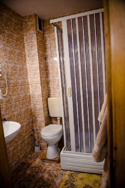 Cazare in Baile Felix - PENSIUNEA ROUA - Arad