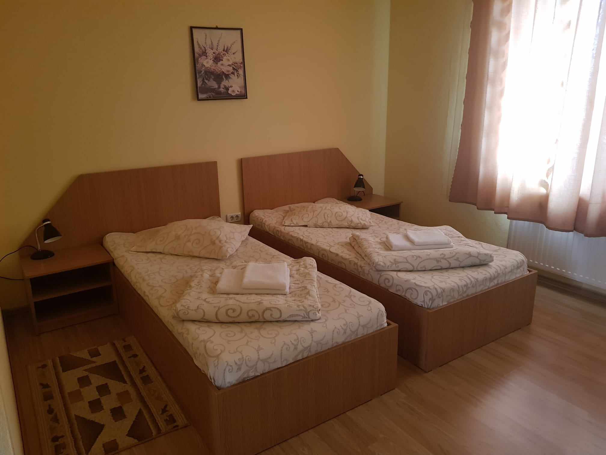 Cazare in Baile Felix - PENSIUNEA  CASA  VERDE - Vladimirescu