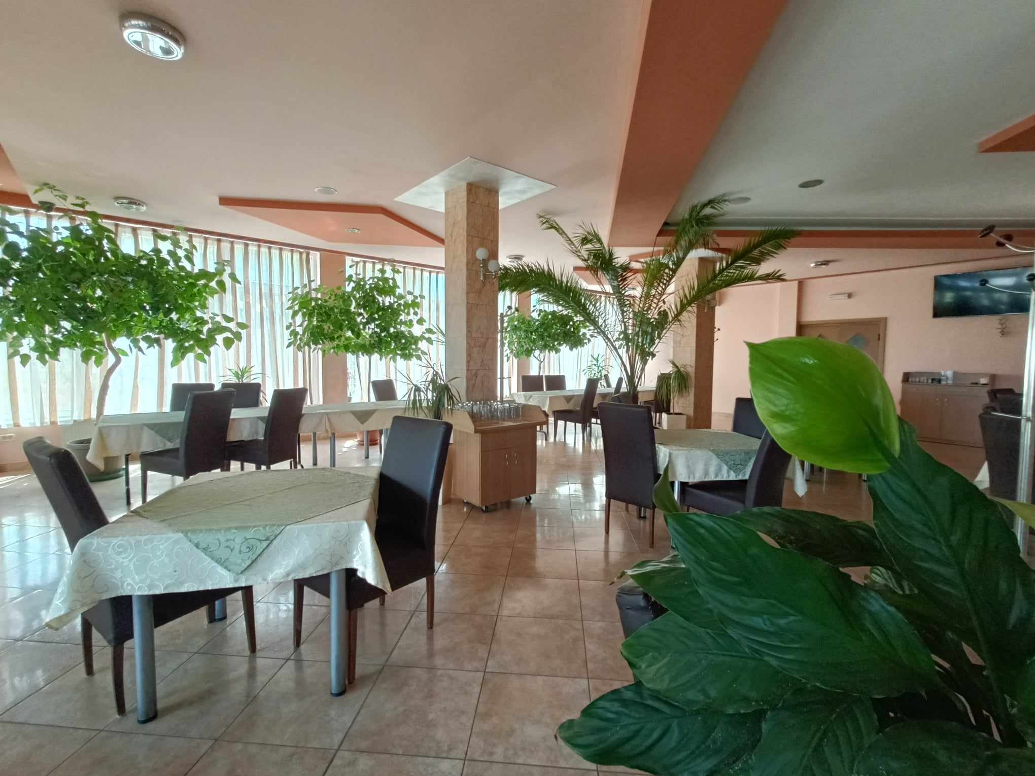 Cazare in Baile Felix - PENSIUNEA  CASA  VERDE - Vladimirescu