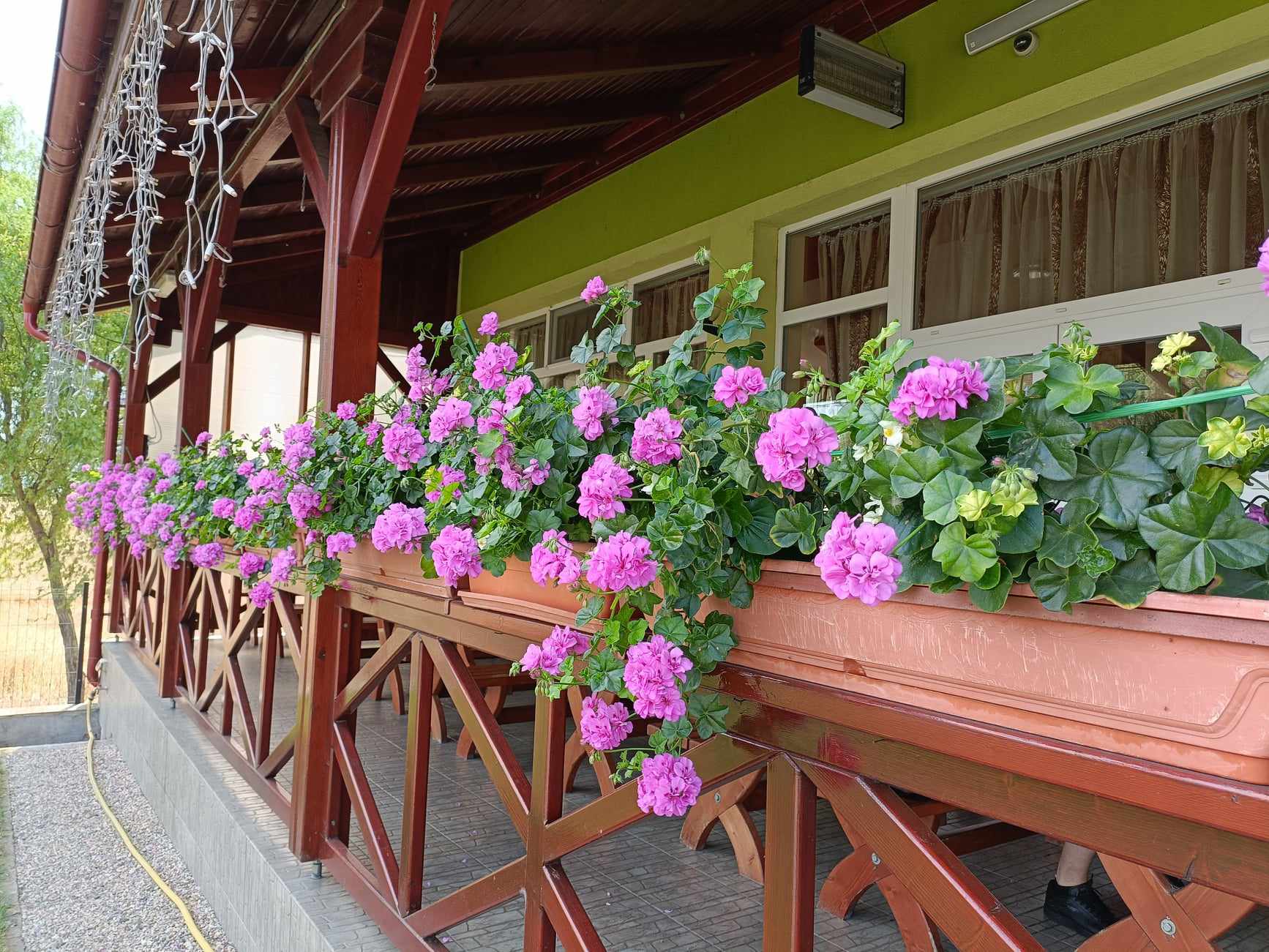 Cazare in Baile Felix - PENSIUNEA  CASA  VERDE - Vladimirescu