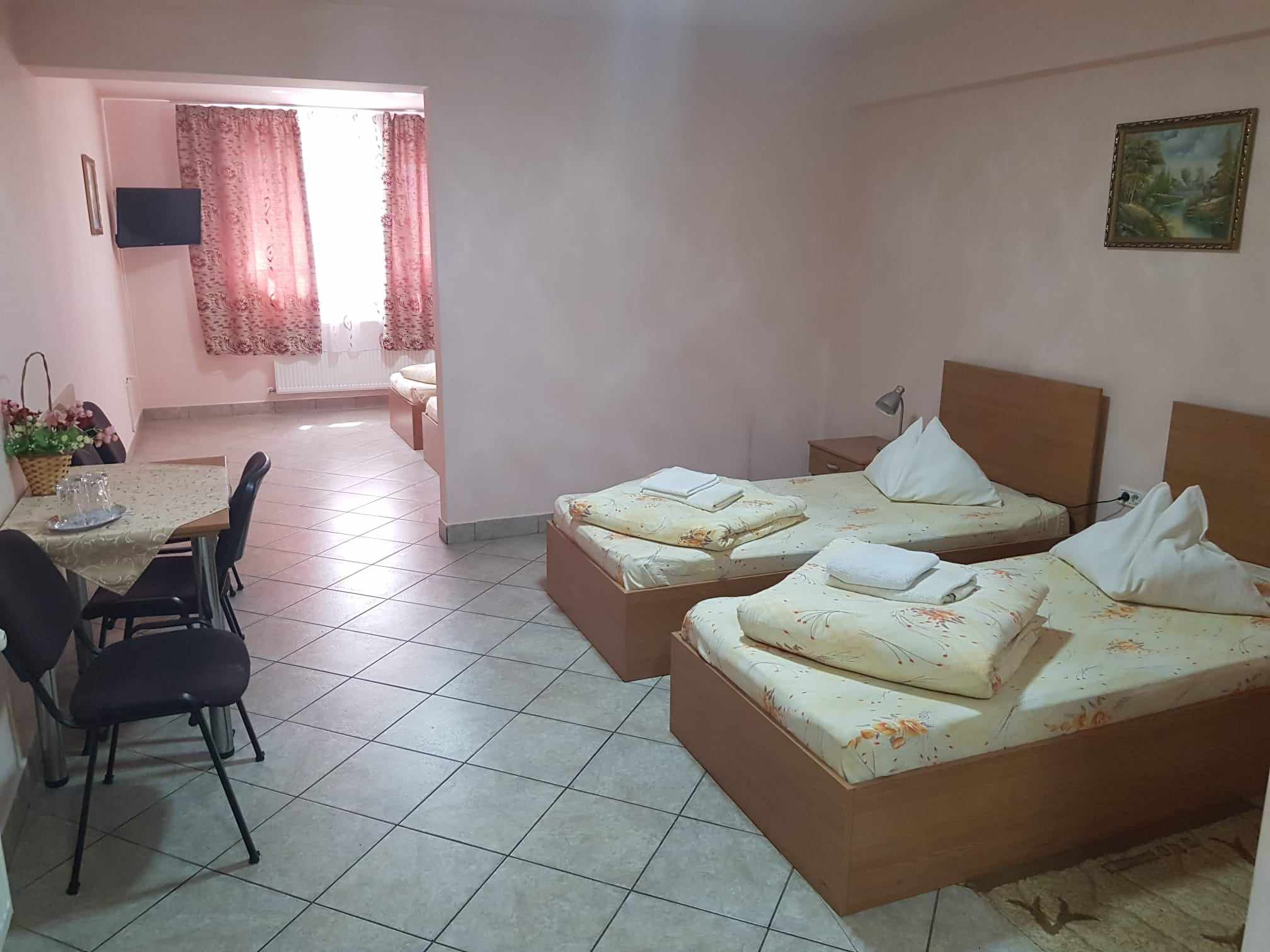 Cazare in Baile Felix - PENSIUNEA  CASA  VERDE - Vladimirescu