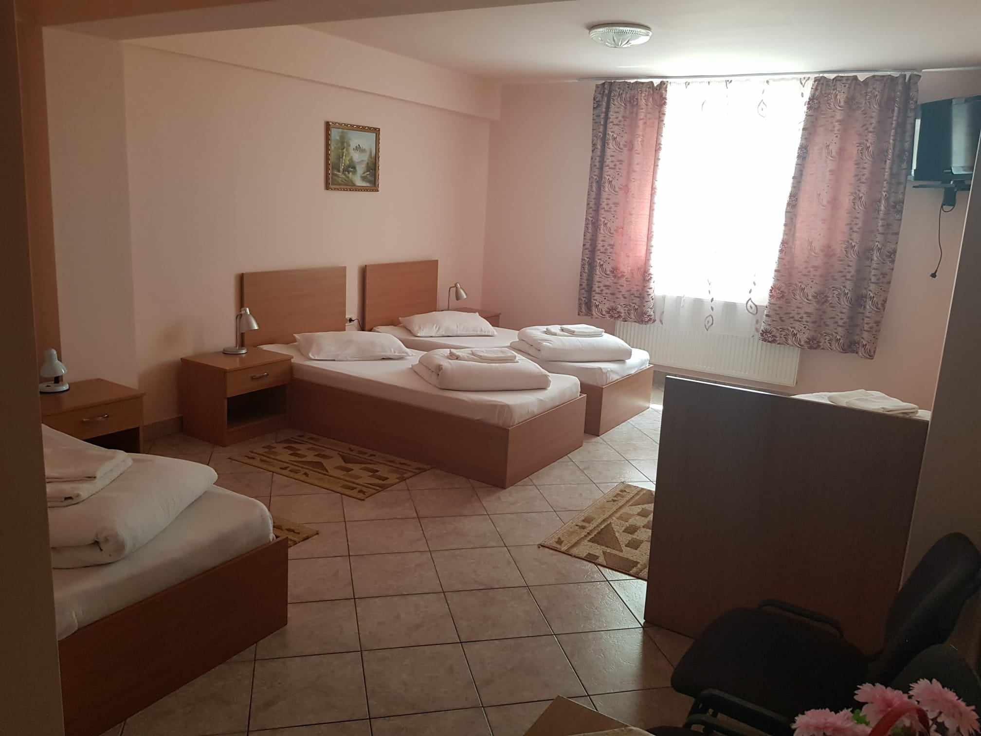 Cazare in Baile Felix - PENSIUNEA  CASA  VERDE - Vladimirescu