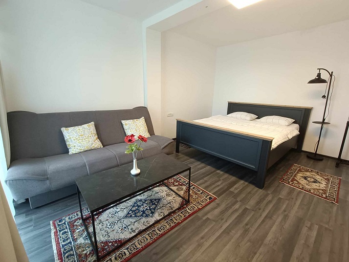 Cazare in Baile Felix - PENSIUNEA ARADA - Arad