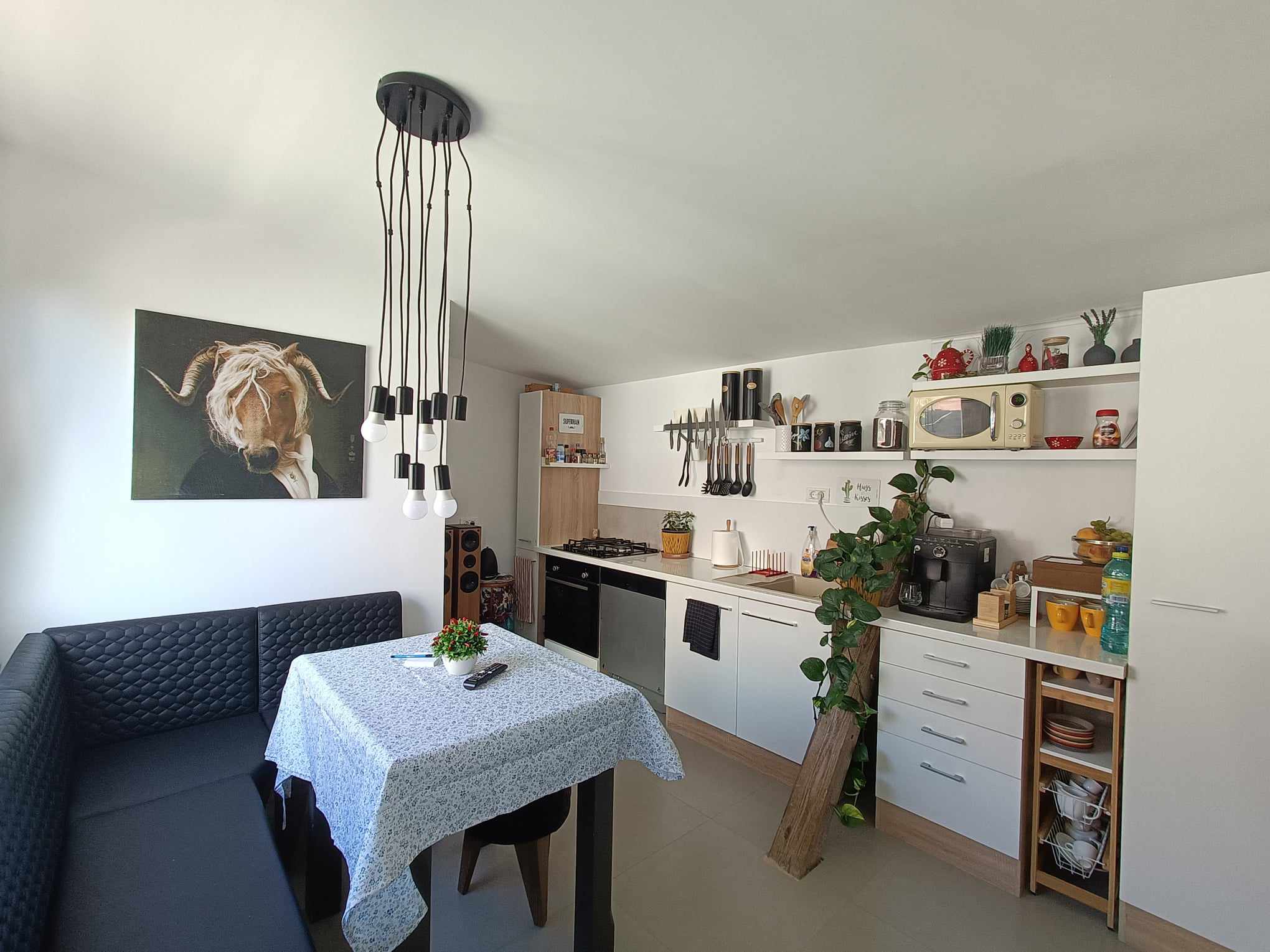 Cazare in Baile Felix - PENSIUNEA ARADA - Arad