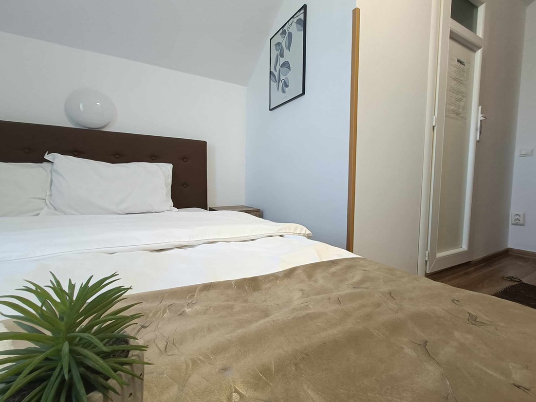 Cazare in Baile Felix - PENSIUNEA  RODICA - Nadlac