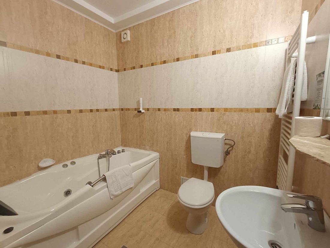 Cazare in Baile Felix - HOTEL PARC MONEASA - Statiunea Moneasa