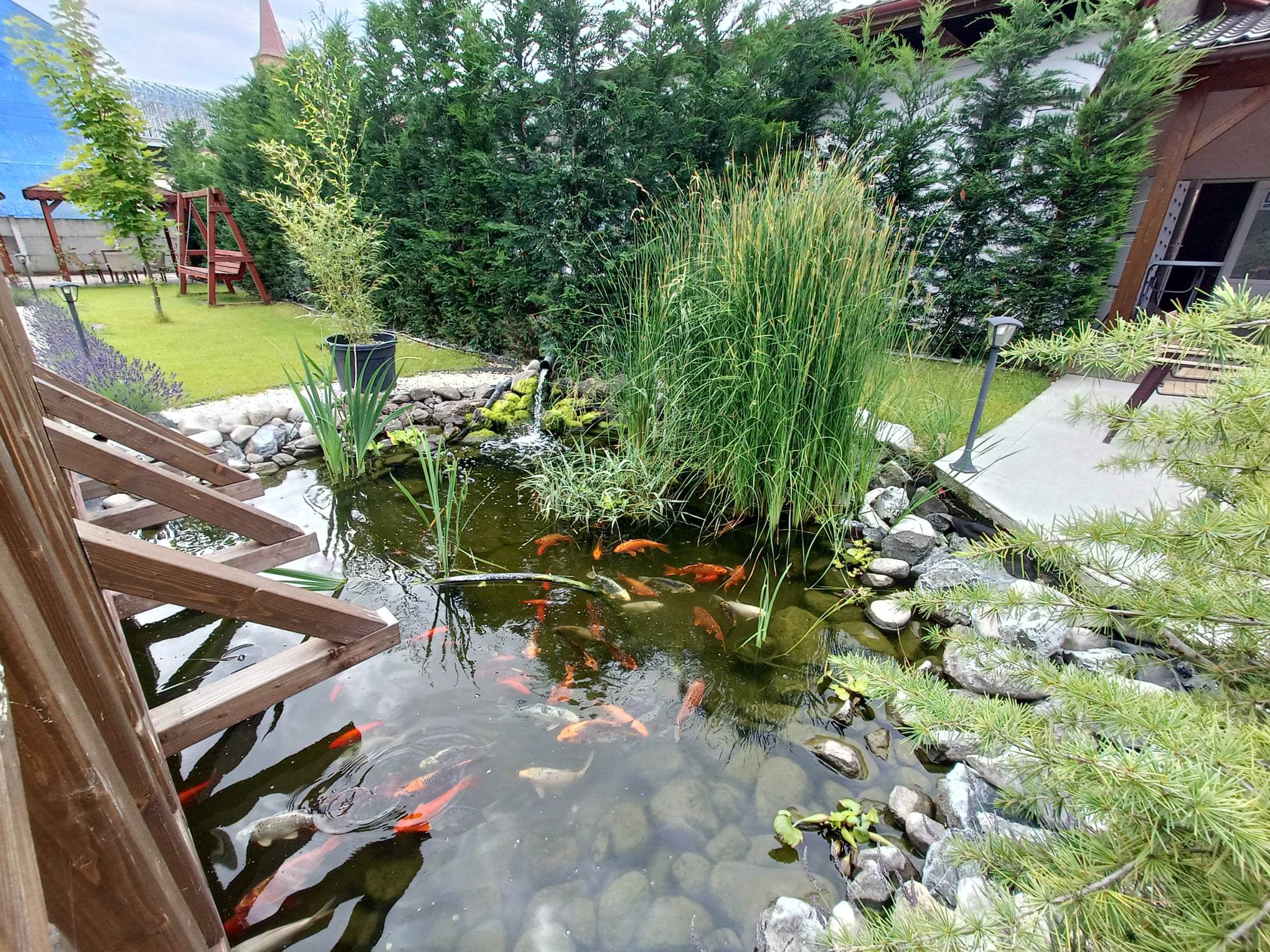 Cazare in Baile Felix - HOTEL CENTRAL INEU - Ineu